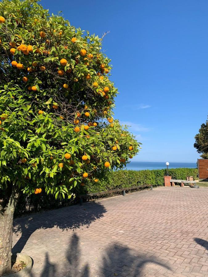 마리나 팔멘세 Vigna Sul Mare 아파트 외부 사진
